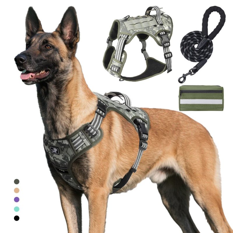 Best Dog Harness