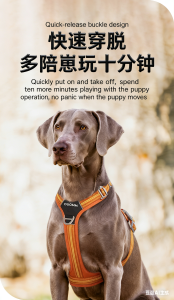 Why Choose Our Best No Pull Dog Harness for Large Dogs? 