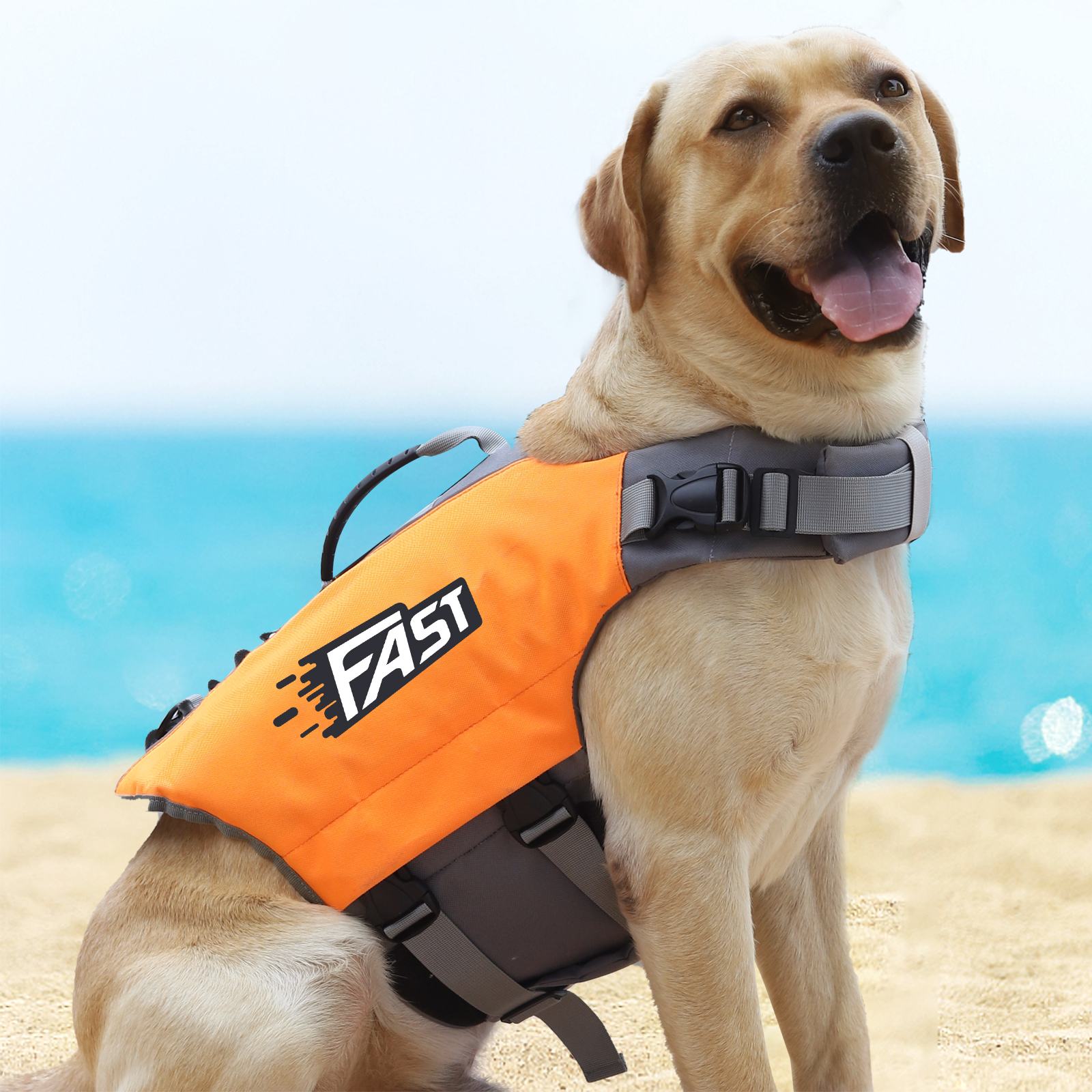 Dog Life Jacket for Swimming