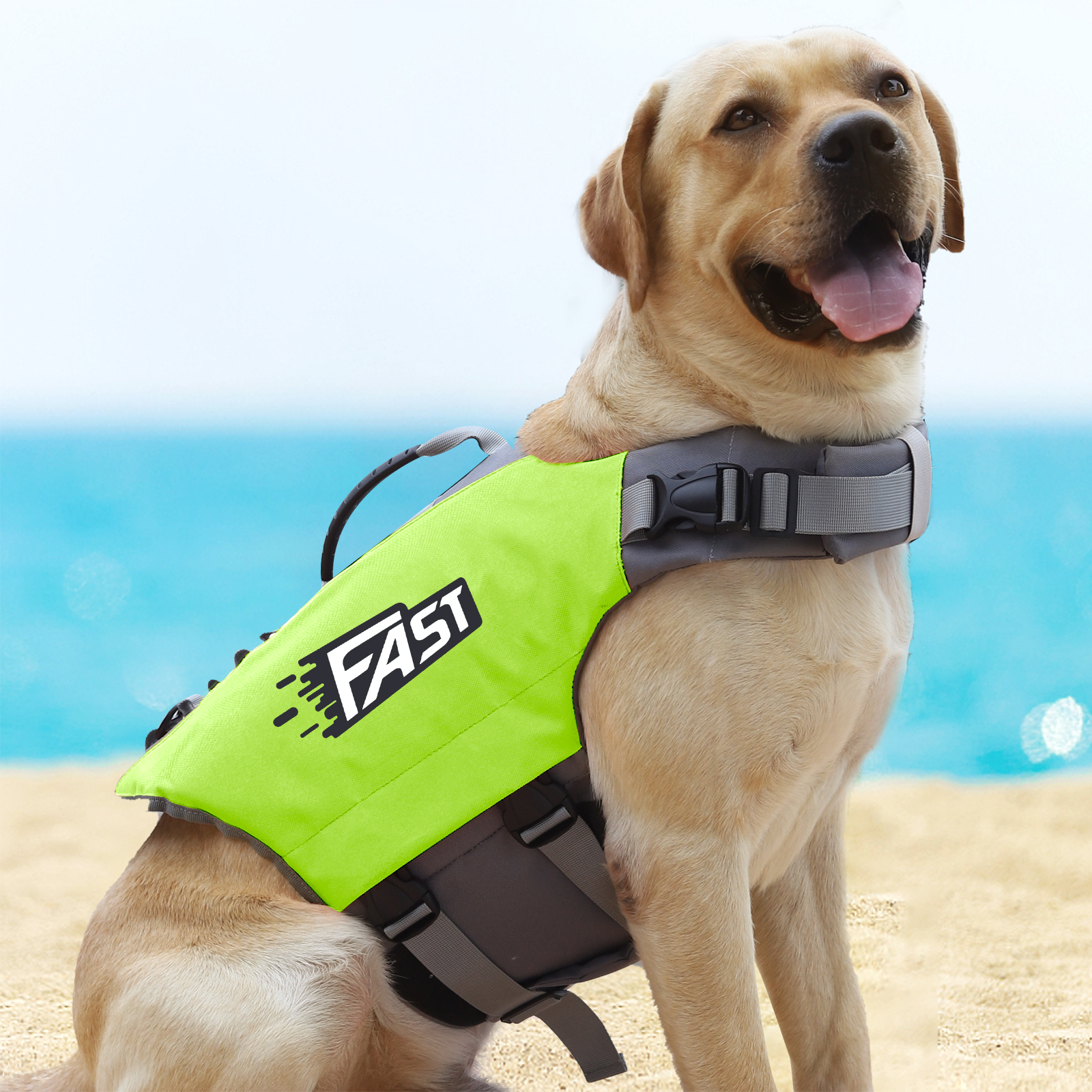 Dog Life Jacket for Swimming - Image 2