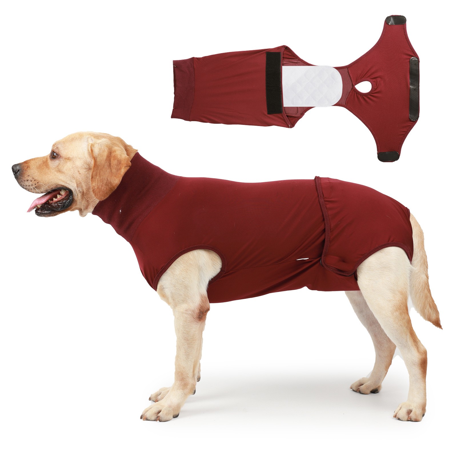 Female Dog Recovery Suit - Image 2